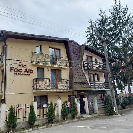 Vila Foc Alb Apartamente-Buşteni Zewnętrze zdjęcie