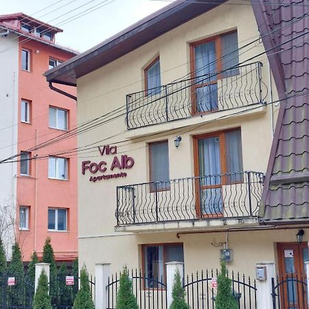 Vila Foc Alb Apartamente-Buşteni Zewnętrze zdjęcie