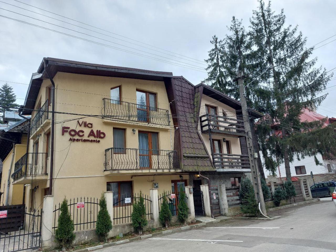 Vila Foc Alb Apartamente-Buşteni Zewnętrze zdjęcie