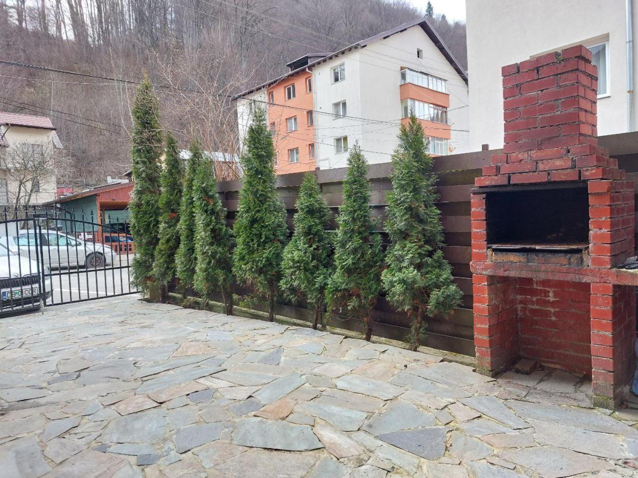 Vila Foc Alb Apartamente-Buşteni Zewnętrze zdjęcie