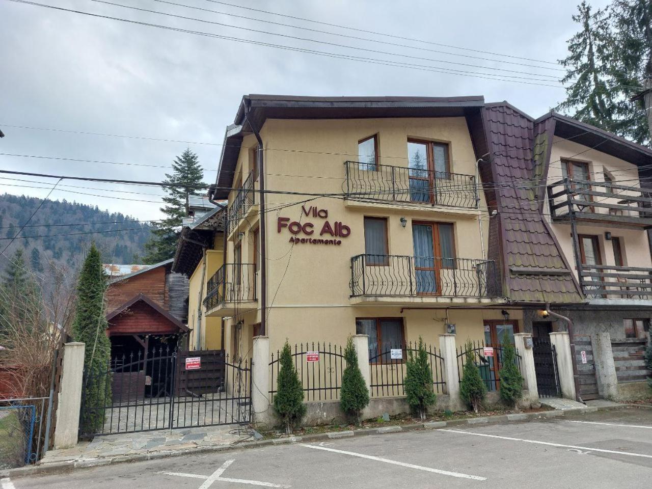 Vila Foc Alb Apartamente-Buşteni Zewnętrze zdjęcie